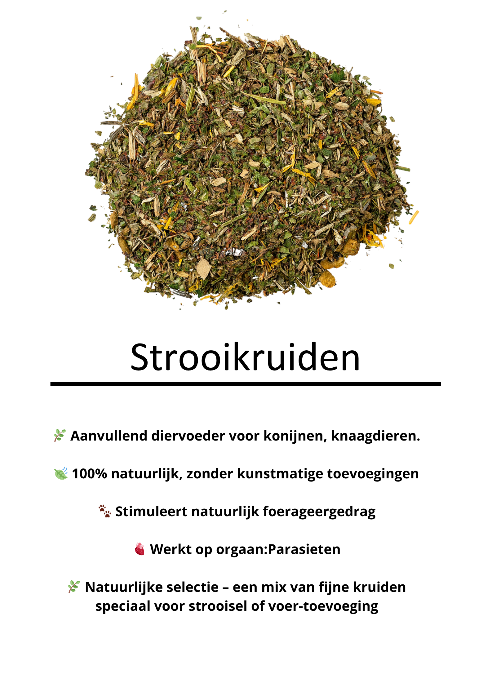 Strooikruiden