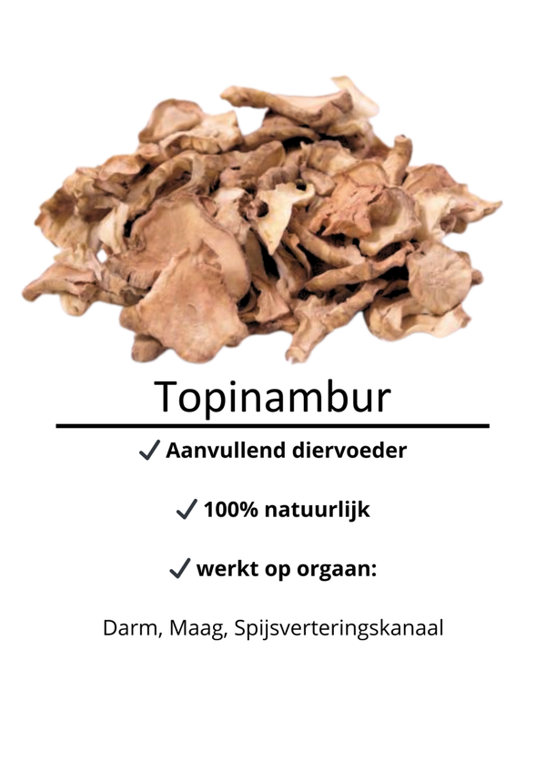 Topinambur / Jerusalem artichoke