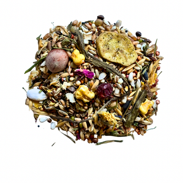 Rattus Rats Original