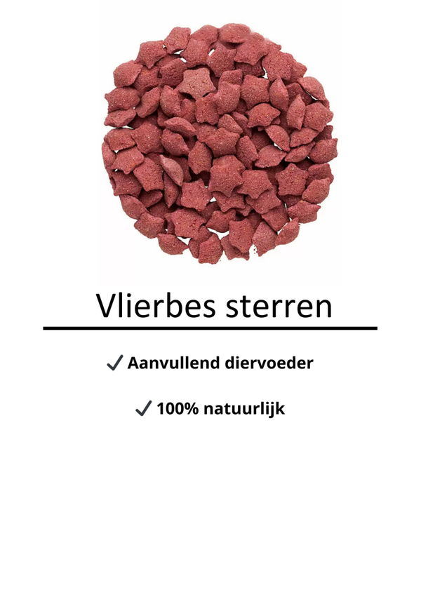 Vlierbes sterren