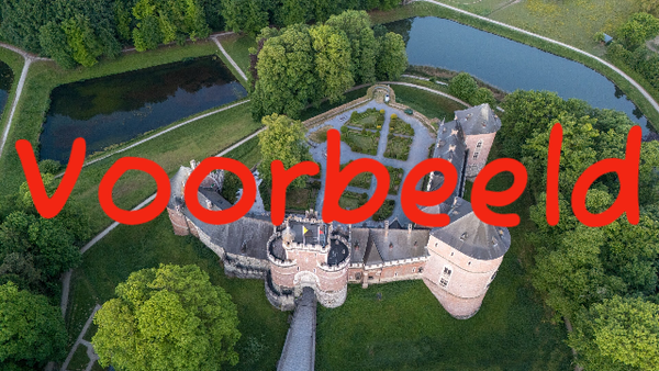 Luchtfoto - Kasteel van Gaasbeek - 2