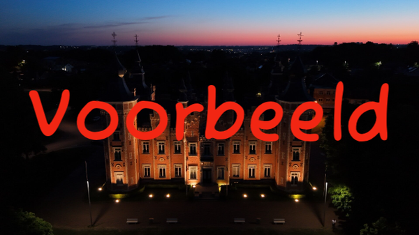 Luchtfoto - Gemeentehuis Dilbeek - 2