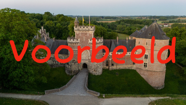 Luchtfoto - Kasteel van Gaasbeek - 3