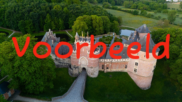 Luchtfoto - Kasteel van Gaasbeek - 1