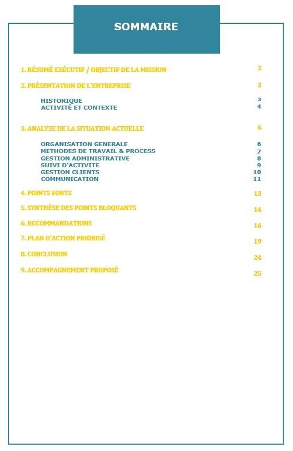 AUDIT ORGANISATIONNEL &  OPÉRATIONNEL