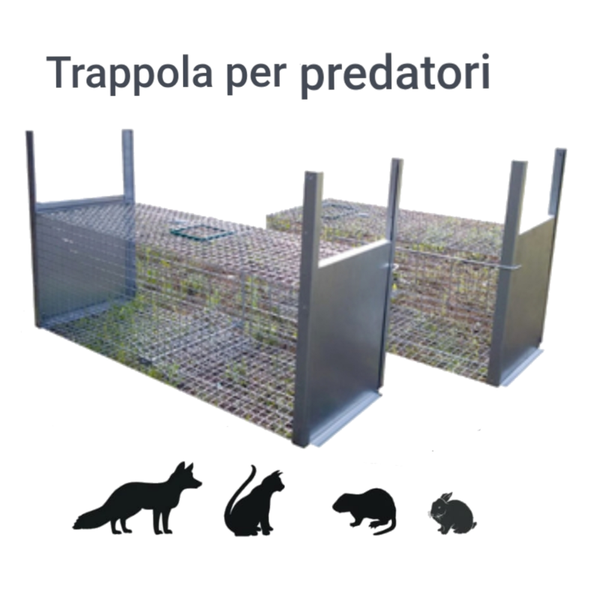 Trappola animali da cortile, gatti, volpi, conigli, puzzole, donnole, nutrie