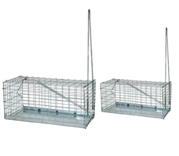 TRAPPOLE A MOLLA PER TOPI RATTI RATTICIDA TOPICIDA 2pz