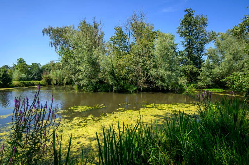 Kasteel Maurick voorzijde