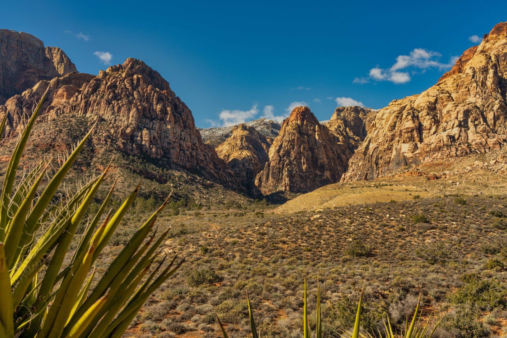 redrockcanyon-33-edit.jpg