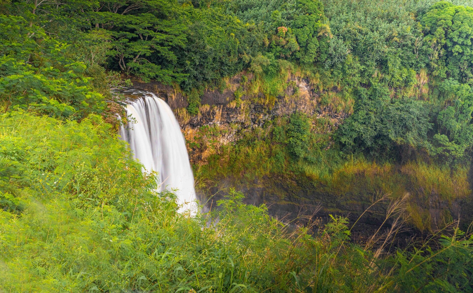 wailua-falls-standard.jpg