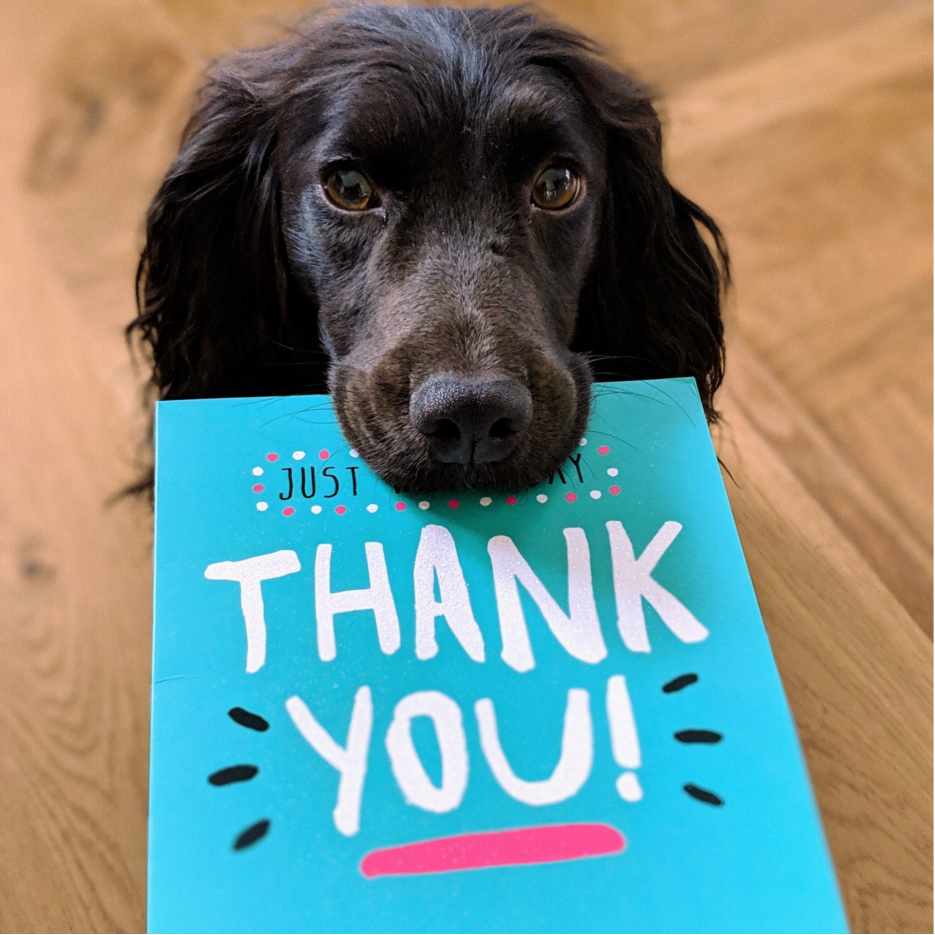 Bedankjes kopen cadeautjes bedankt allerleileuks.nl