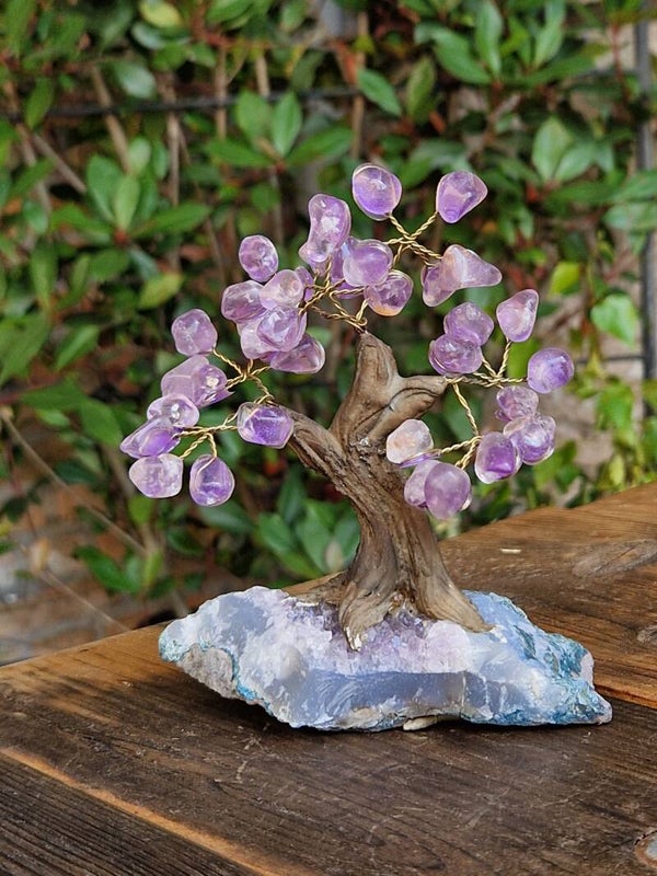 Edelsteen Amethist Bonsai Boom