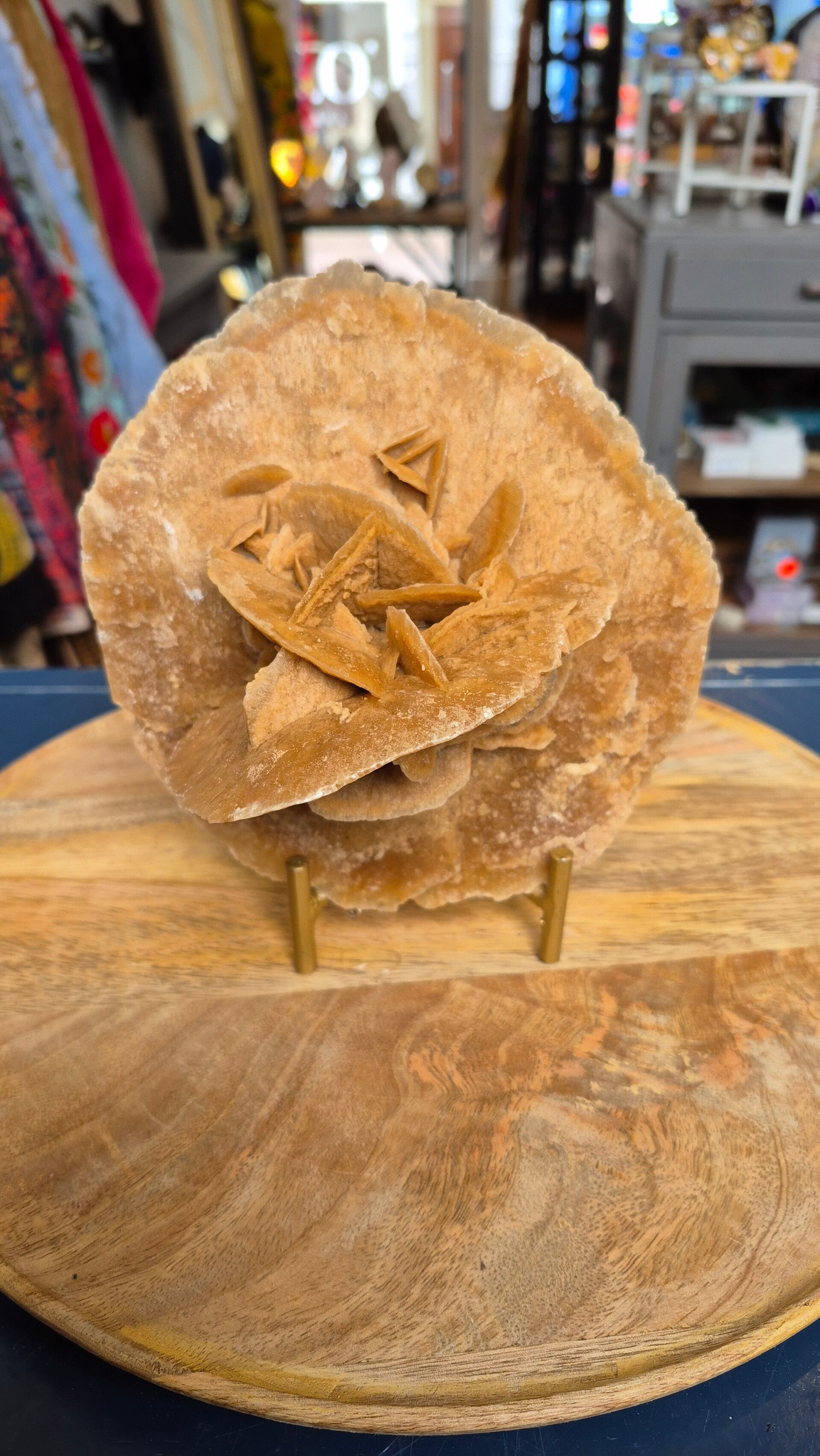 Woestijnroos Of Zandroos (M)