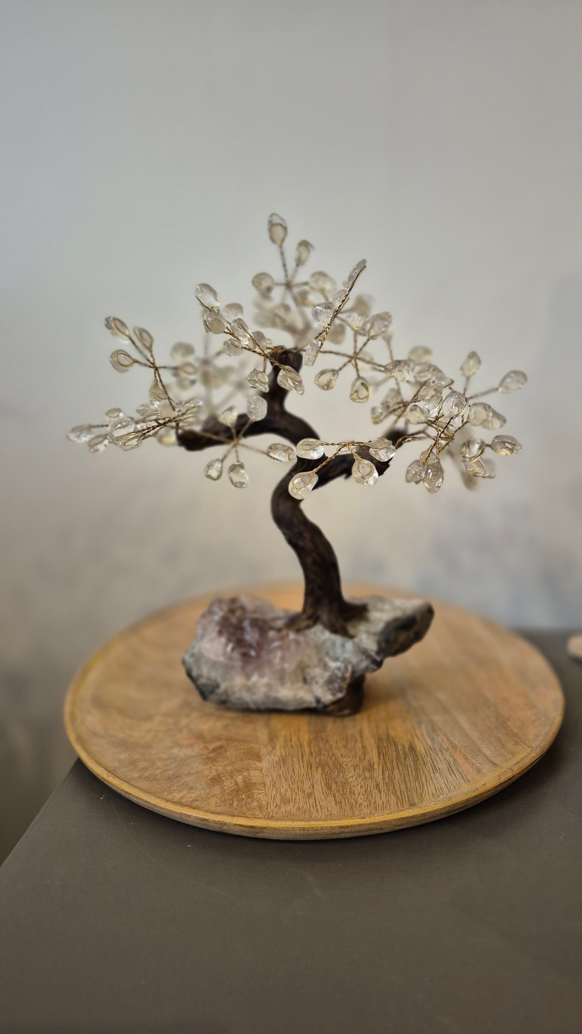 Bergkristal Amethist Bonsai boom