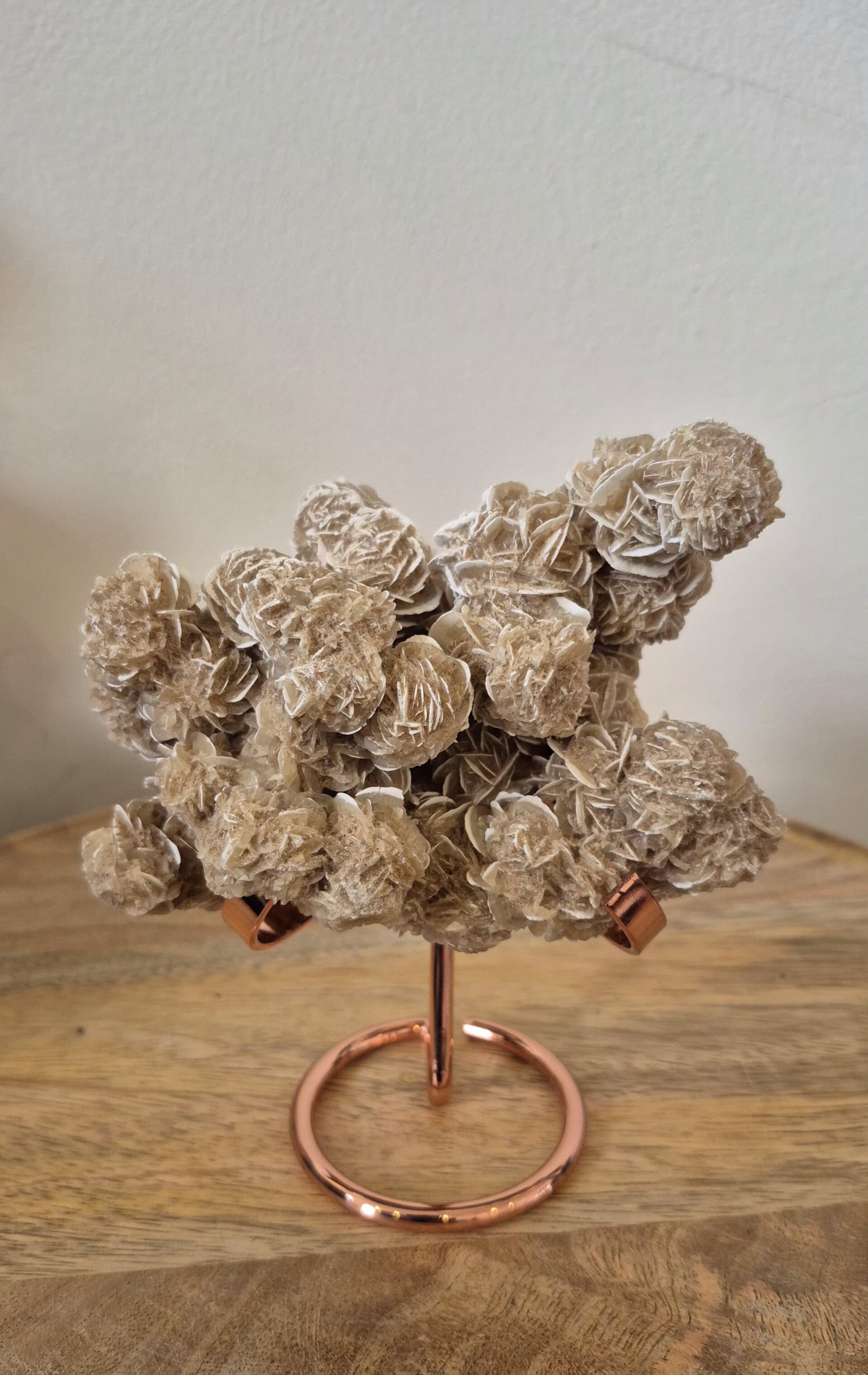 Woestijnroos of Zandroos (M2)