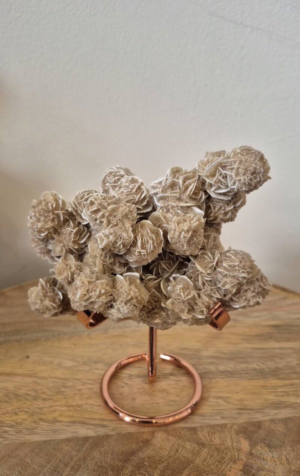 Woestijnroos of Zandroos (M2)