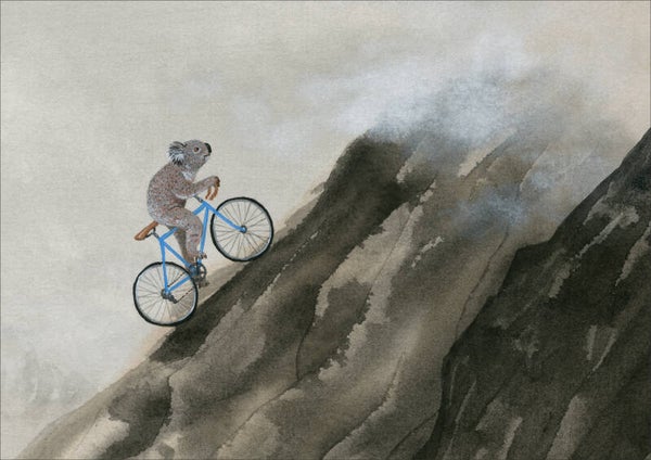 2 x illustratie Koala op de berg