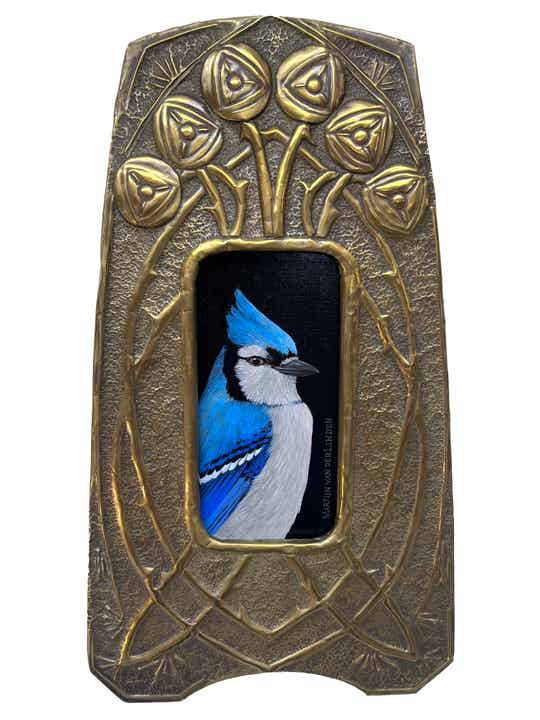 Blauwe gaai
