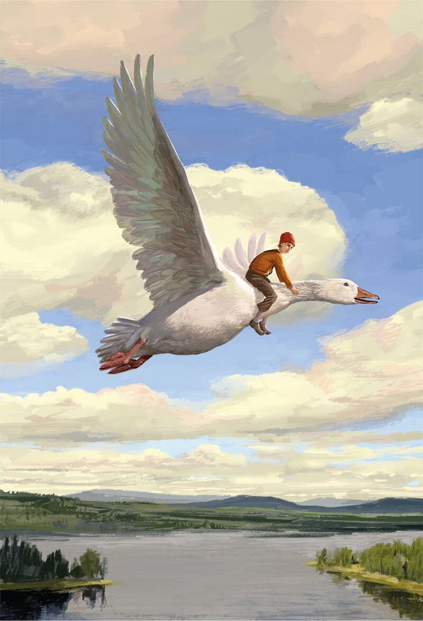 Nils Holgersson omslag