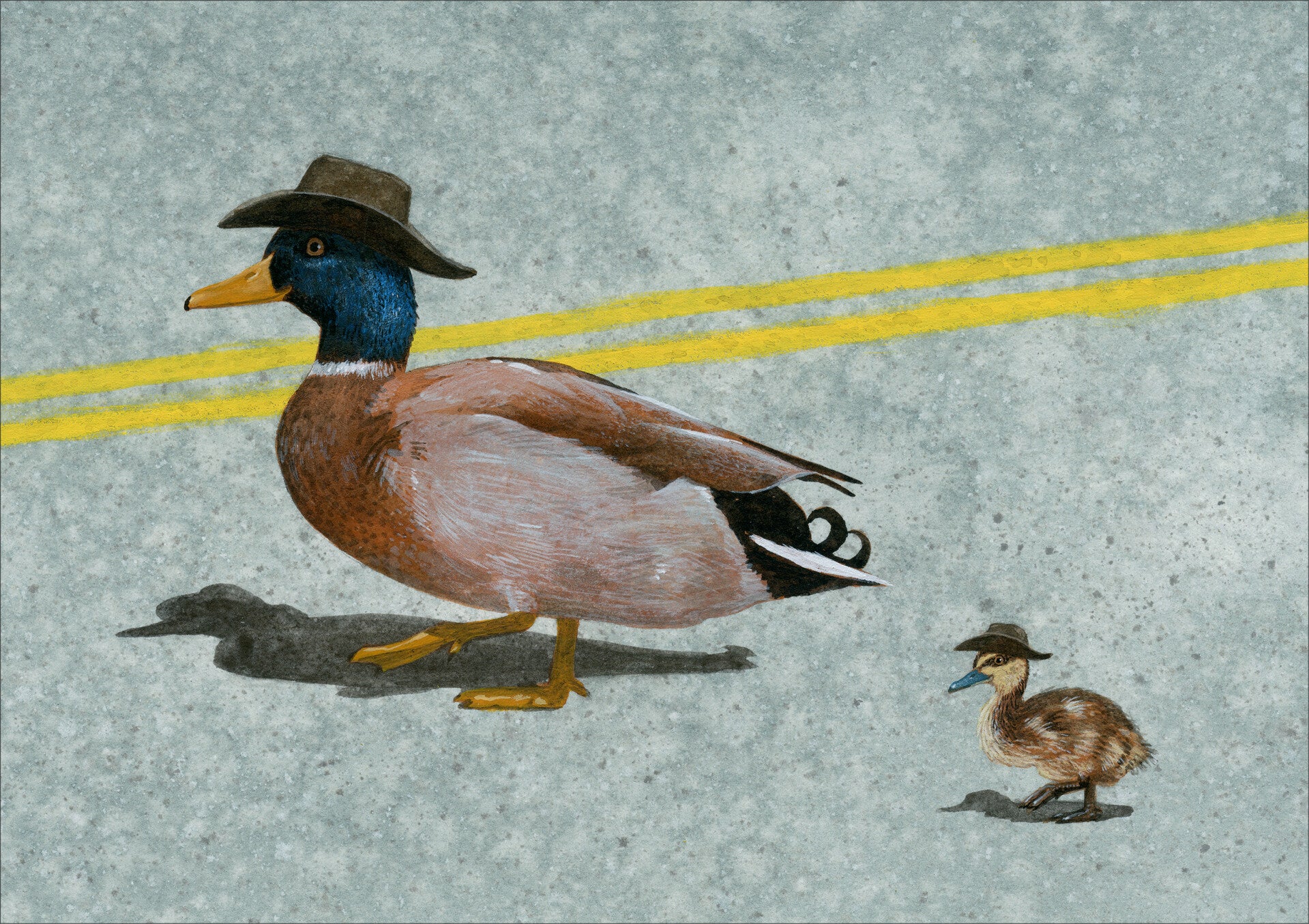 Papa eend en kleintje