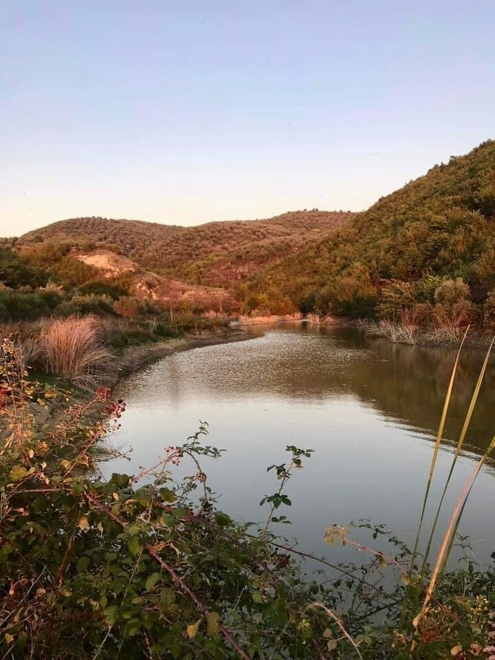 Meertje midden tussen de olijfbomen en natuur