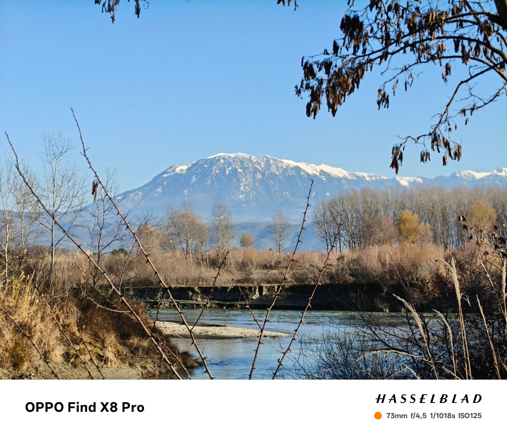 Heuvelachtig landschap met olijfbomen en in de verte een berg met een besneeuwde top.