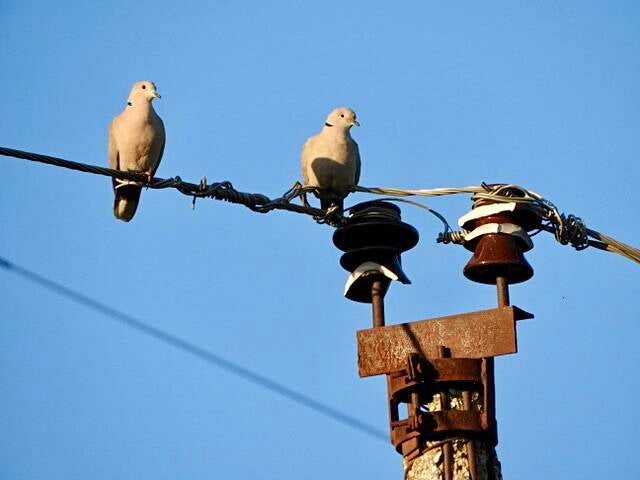 img_8948-standard.jpg