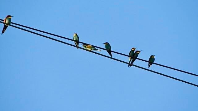 img_8950-standard.jpg