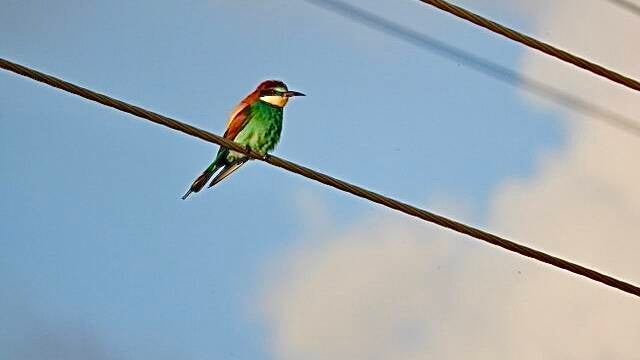 img_8959-standard.jpg
