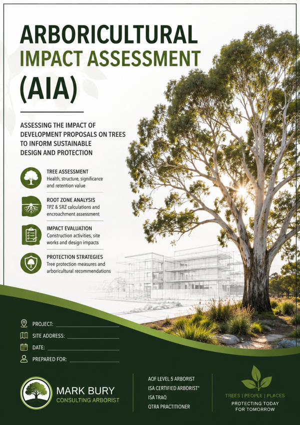 Arboricultural Impact Assessment (AIA)