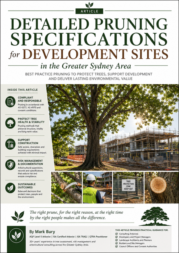 Detailed Pruning Specifications for Development Sites in the Greater Sydney Area