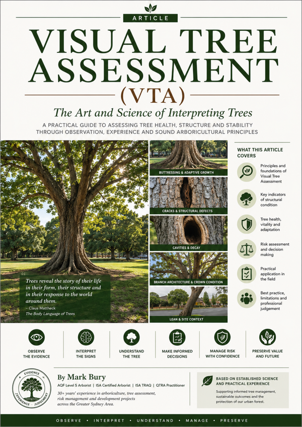 Visual Tree Assessment