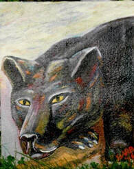panter2a.jpg