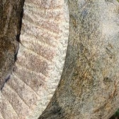 serpentijn2b-standard.jpg