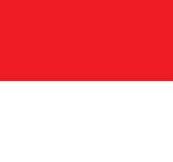 Indonesian National Anthem for String Orchestra