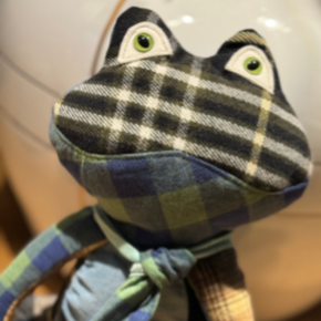 Troostknuffel in de vorm kikker, gemaakt van kleding van een overleden dierbare zacht en herkenbaar