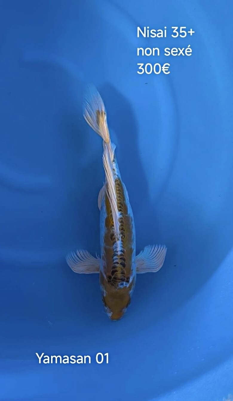 Yamasan
