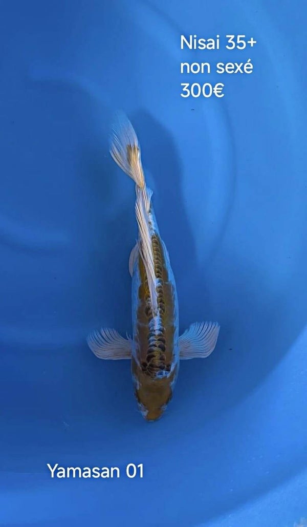 Yamasan