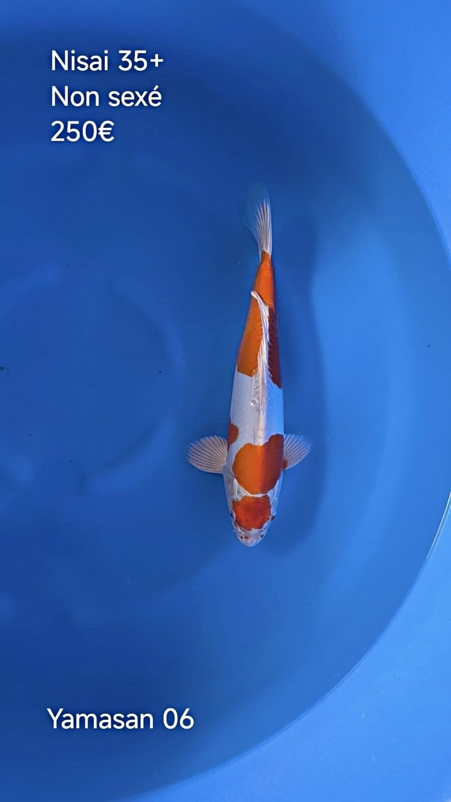 Yamasan