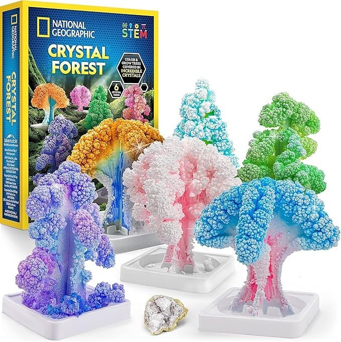 National Geographic Craft Kits for Kids
