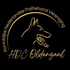 HDC Oldenzaal