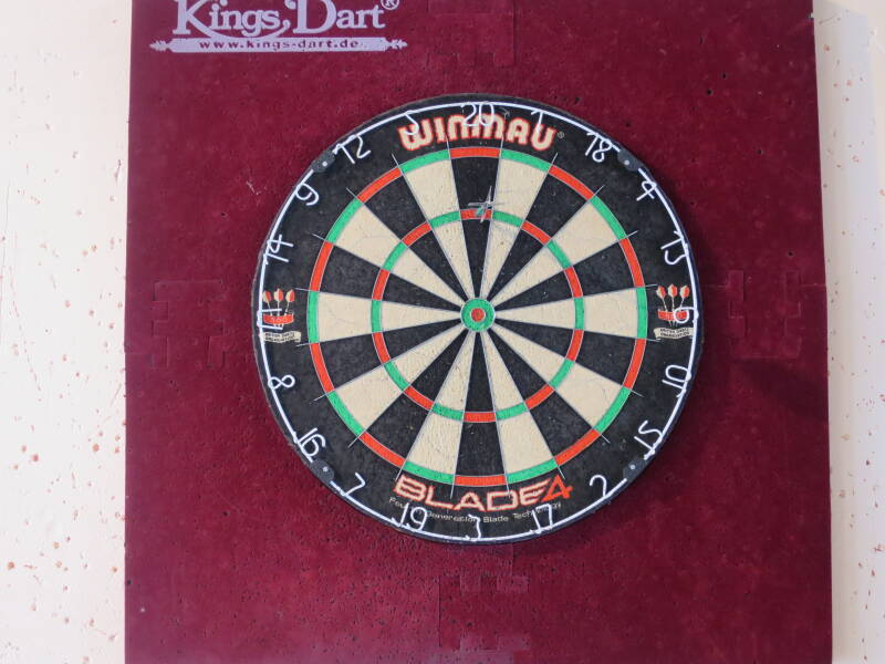 dart1-1.jpg