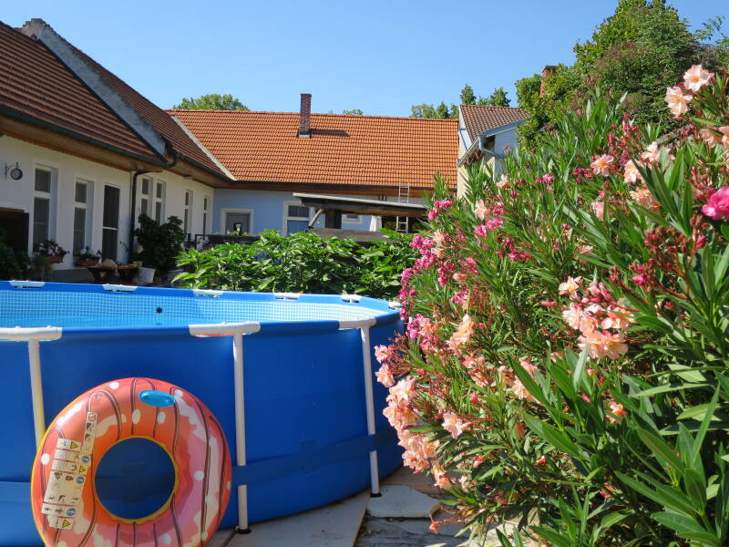 Ferienwohnung mit Pool
