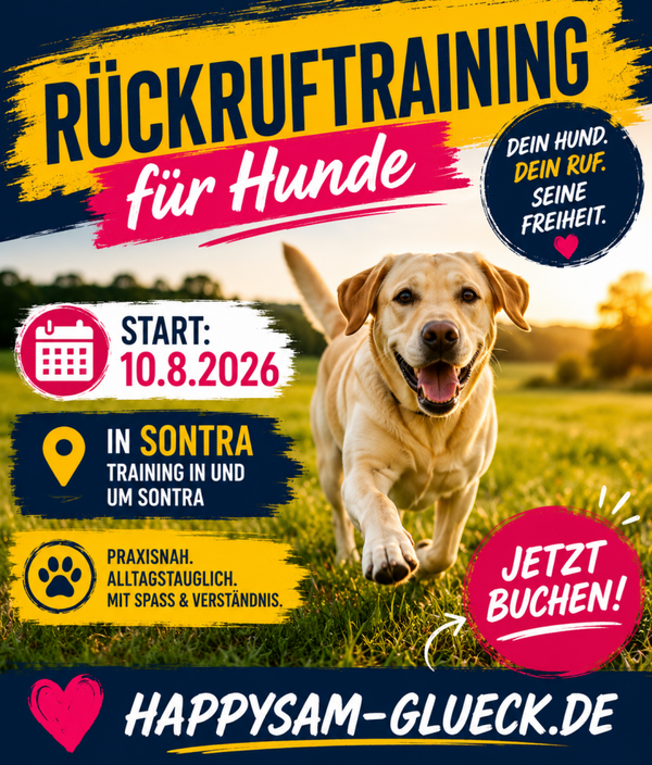 Rückrufkurs