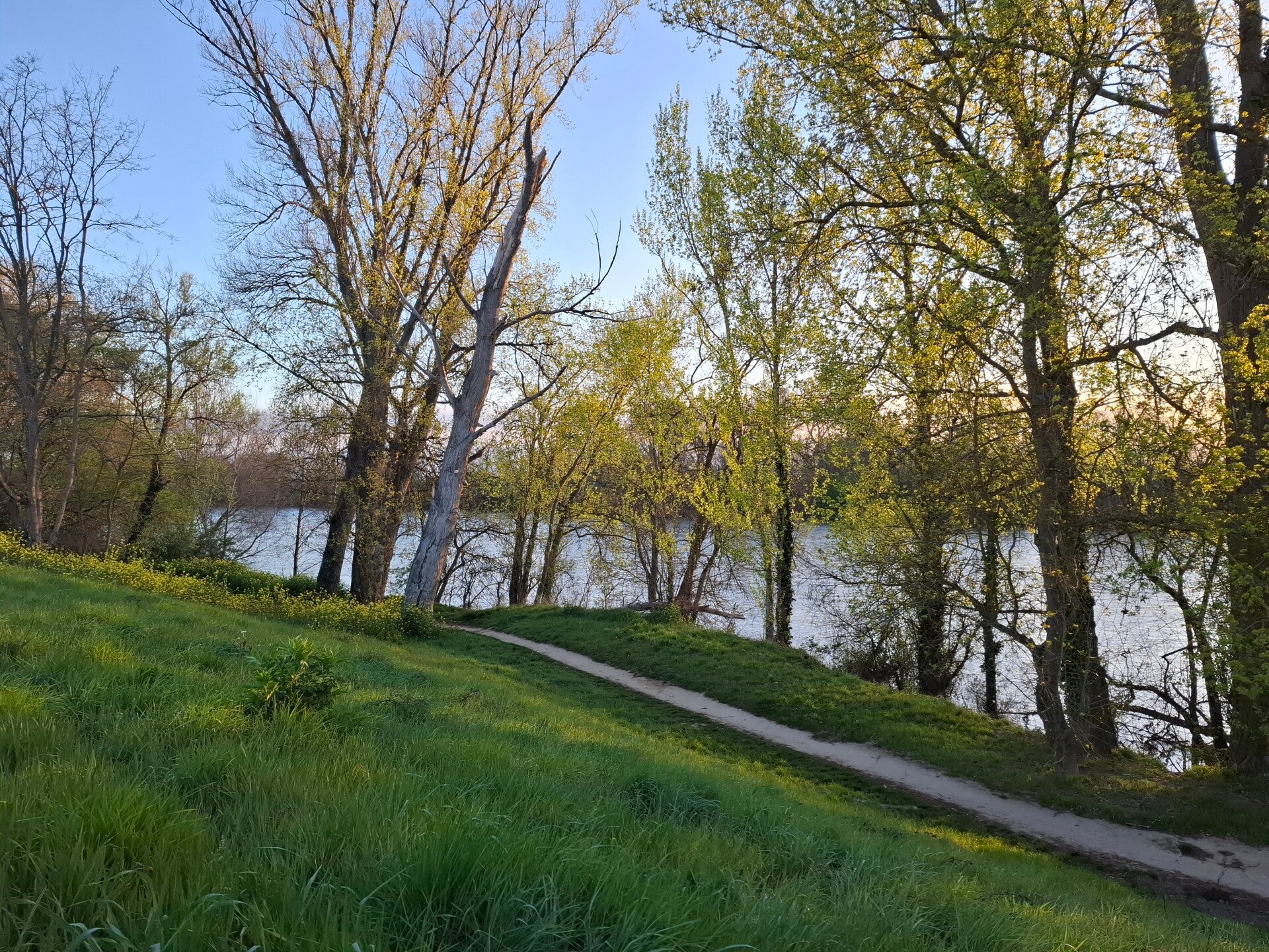 Les bords de la Garonne par les Ramiers de Blagnac