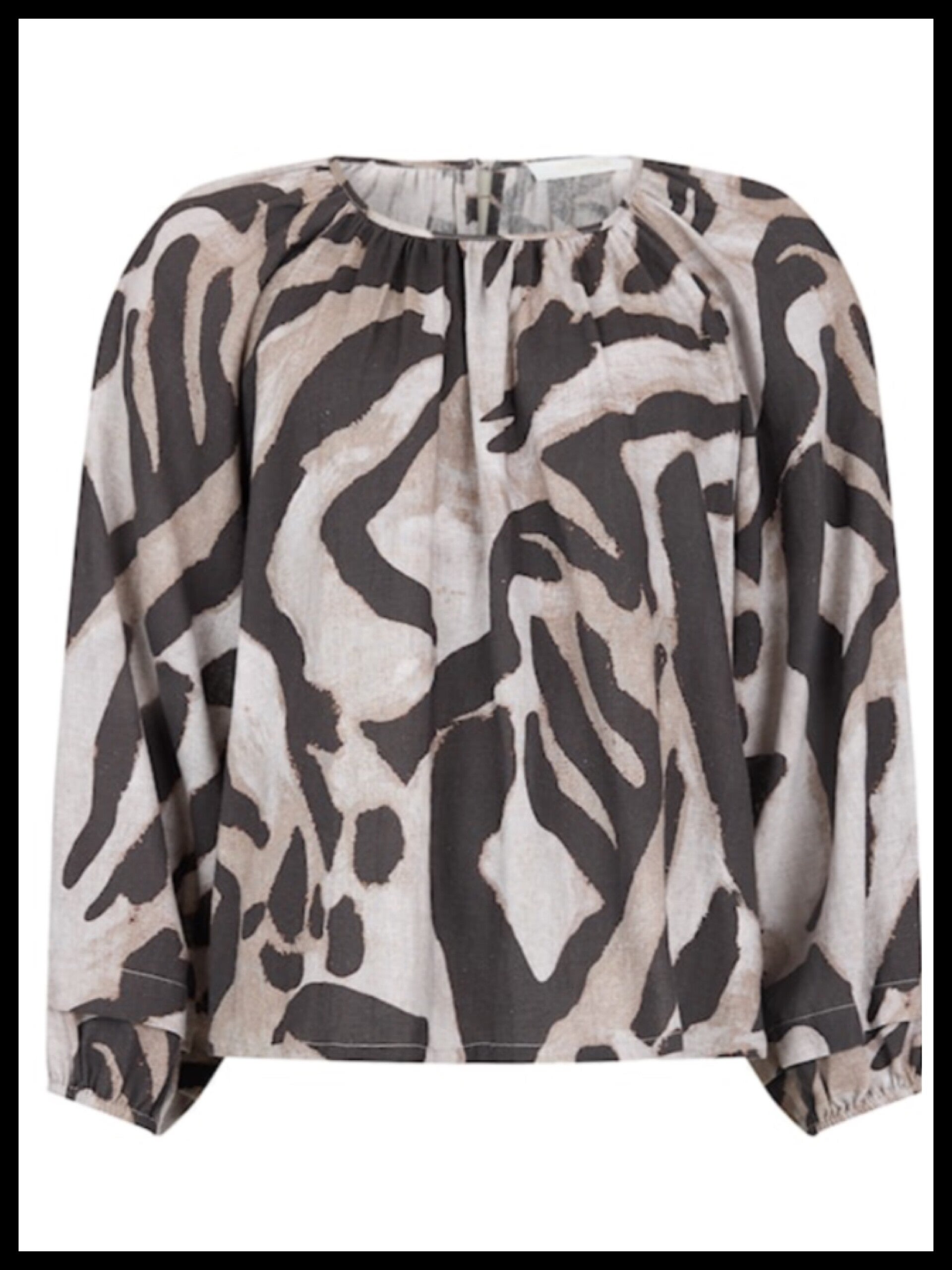 Noen top 83734 - zebra