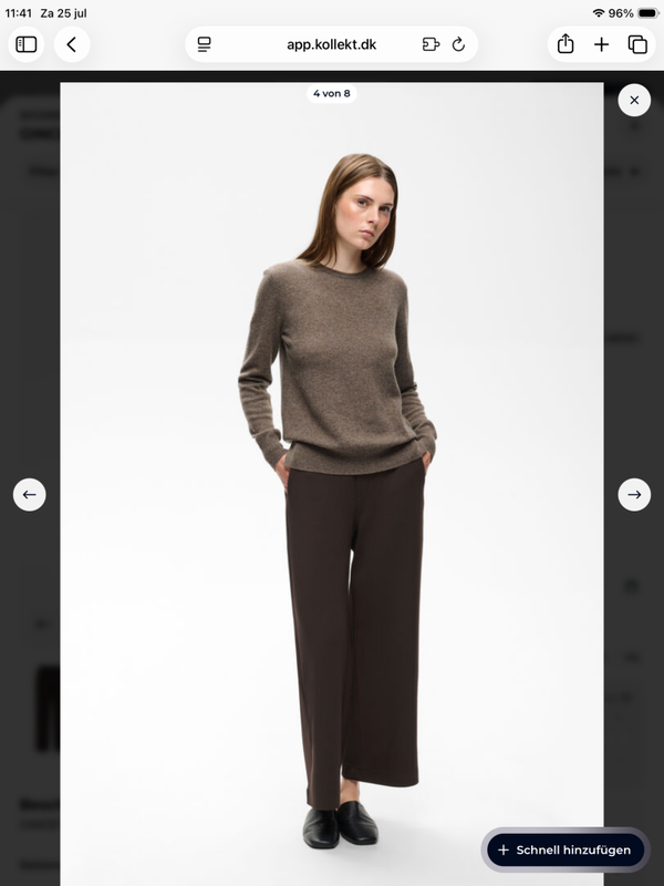 Inwear broek Gincet A choco bruin