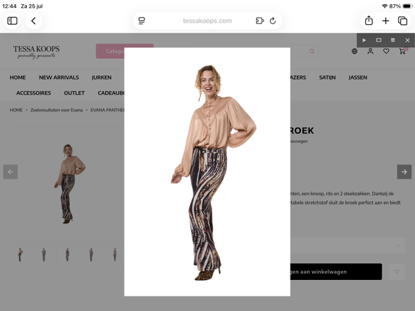 Tessa Koops broek Evana P multi
