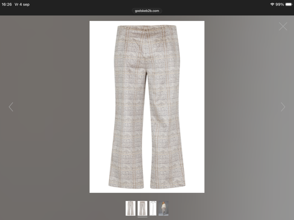 Robel broek ruit Efi ruit