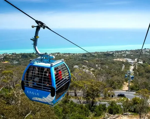 From Wildlife to Coastal Views: Arthur’s Seat, Brighton & Moonlit Sanctuary Private Tour